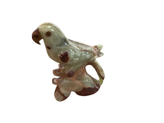 Himalayan marble parakeet|2997