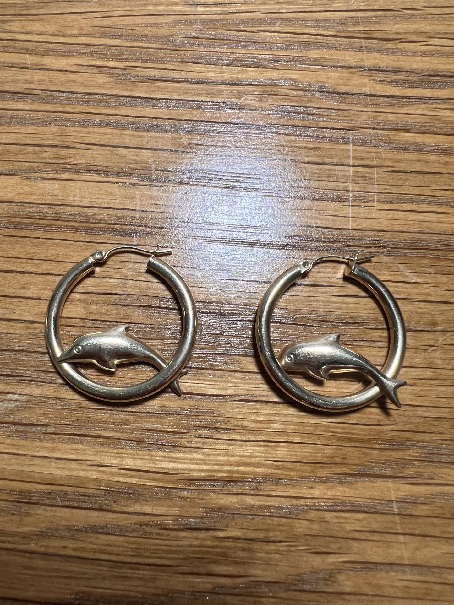 Dolphin Hoop Earrings