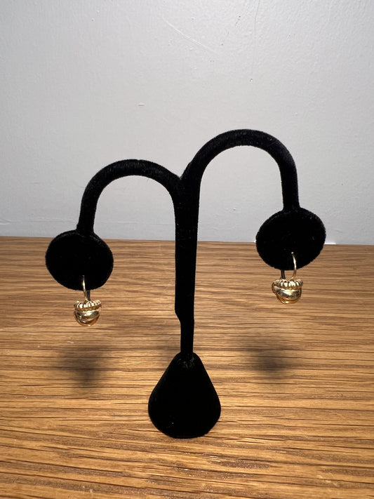 14k Gold Shell Earrings - Italian Made, Lever-Back Closure