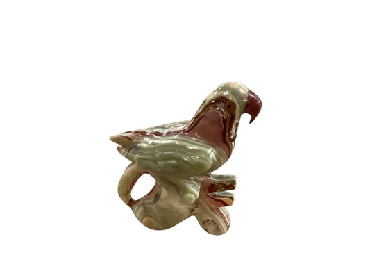 Himalayan marble parakeet|3000