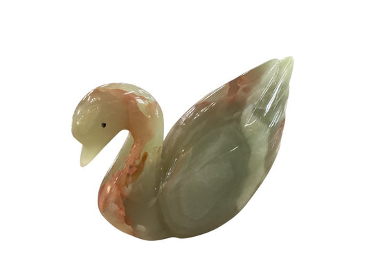 Himalayan marble swan|2995