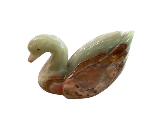 Himalayan marble swan|2992