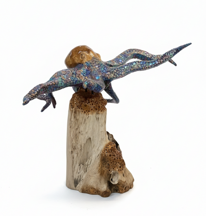 Teak Octopus on painted base