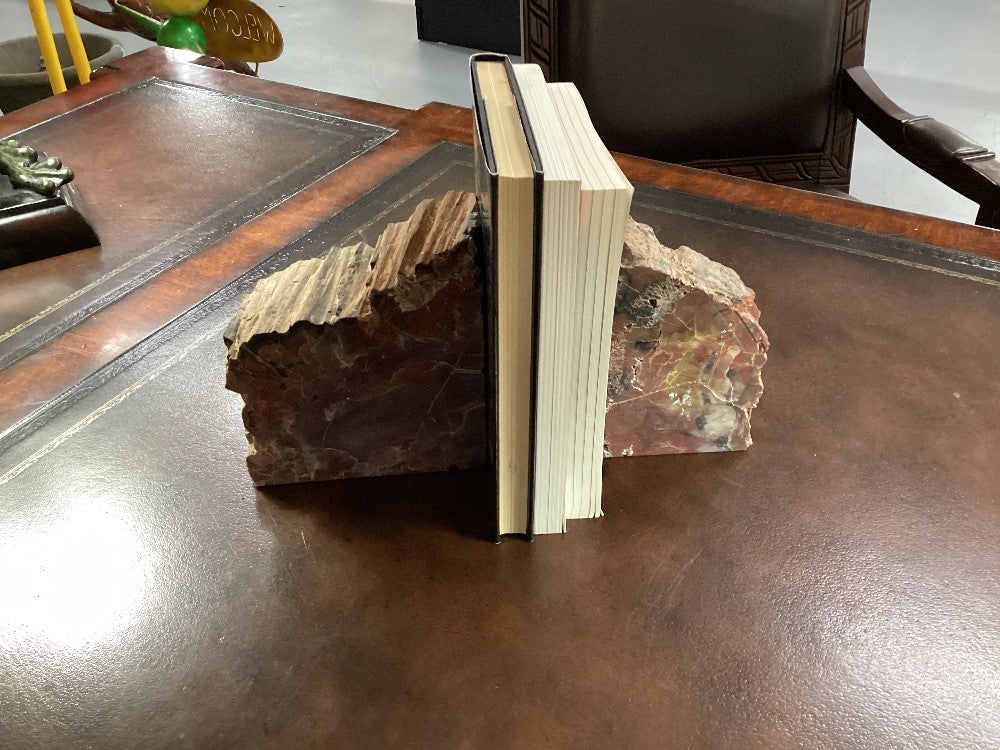 Petrified wood book ends|3761