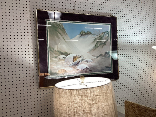 Turtle in egg picture|4313