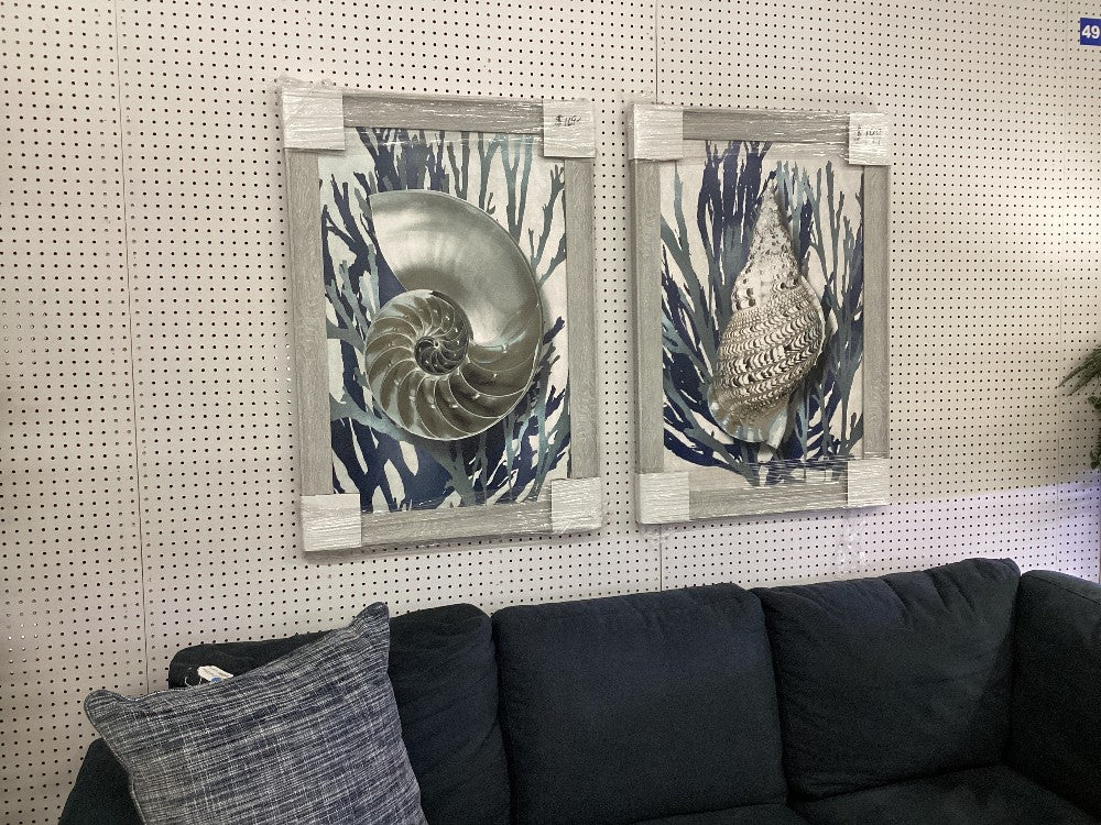 Shell artwork|4952