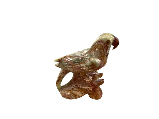 Himalayan marble parakeet|2996