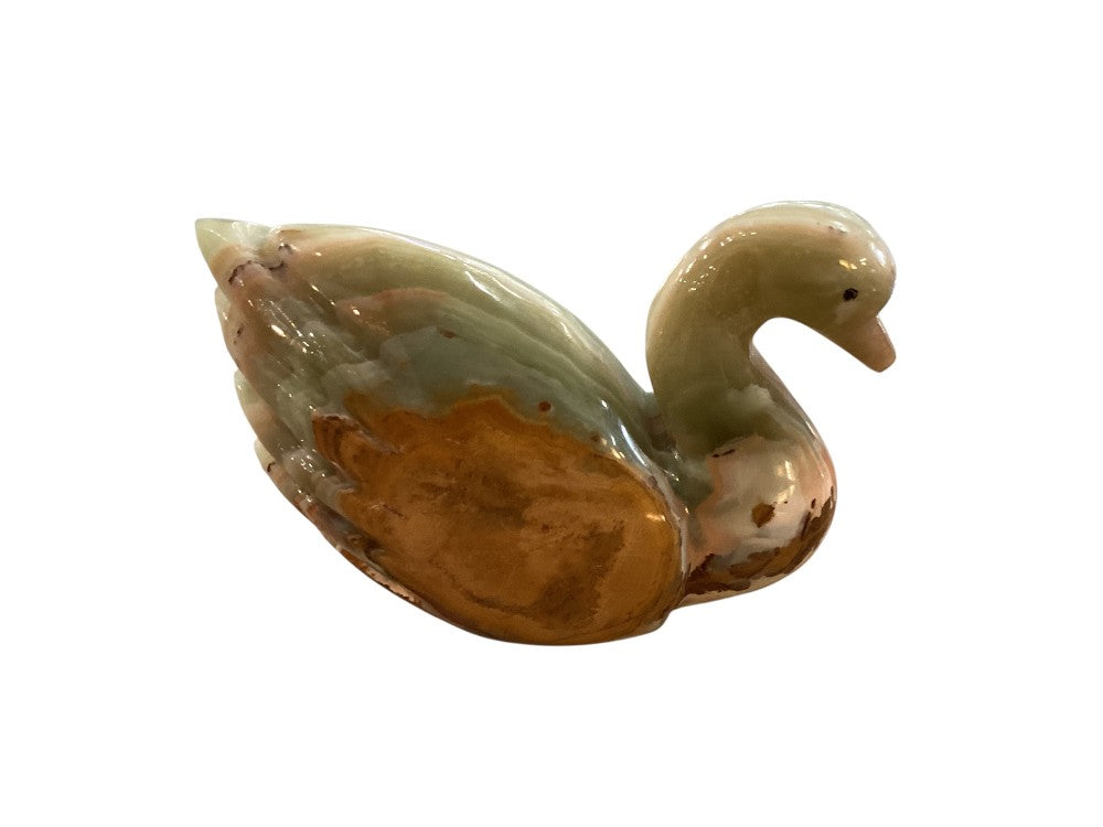 Himalayan marble swan|2993