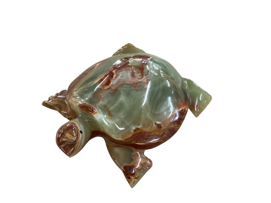 Himalayan marble turtle|2984