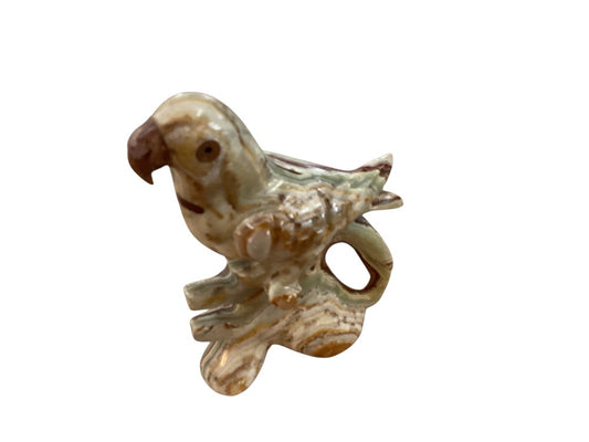 Himalayan marble parakeet|2999