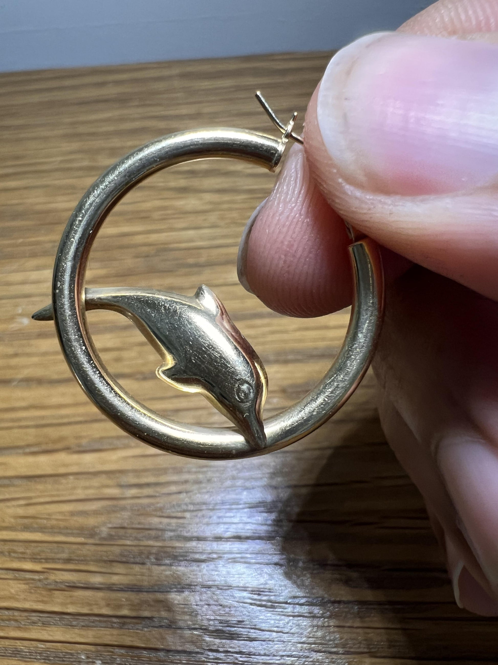 Dolphin Hoop Earrings
