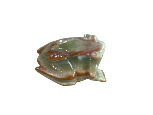 Himalayan marble frog|2975