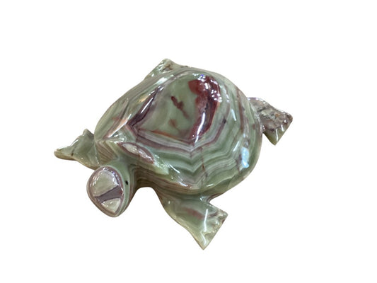 Himalayan marble turtle|2987